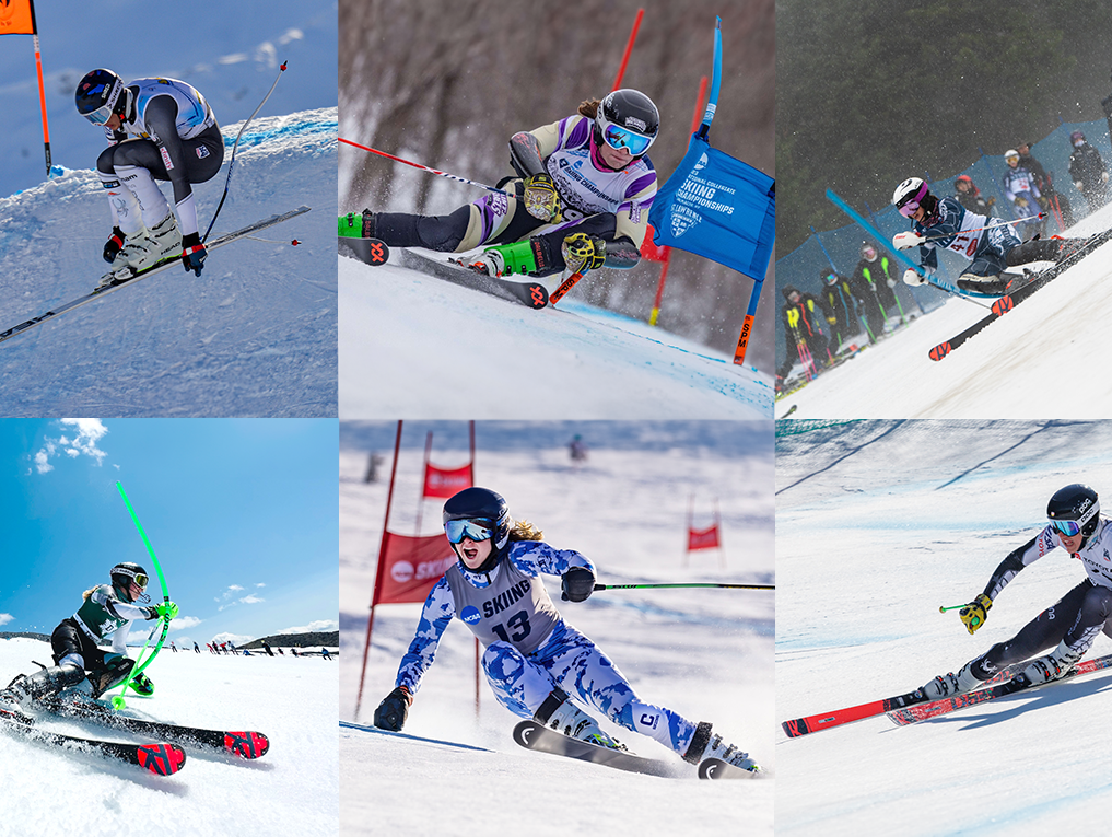 Introducing The New 2023/24 SYNC NCAA Team