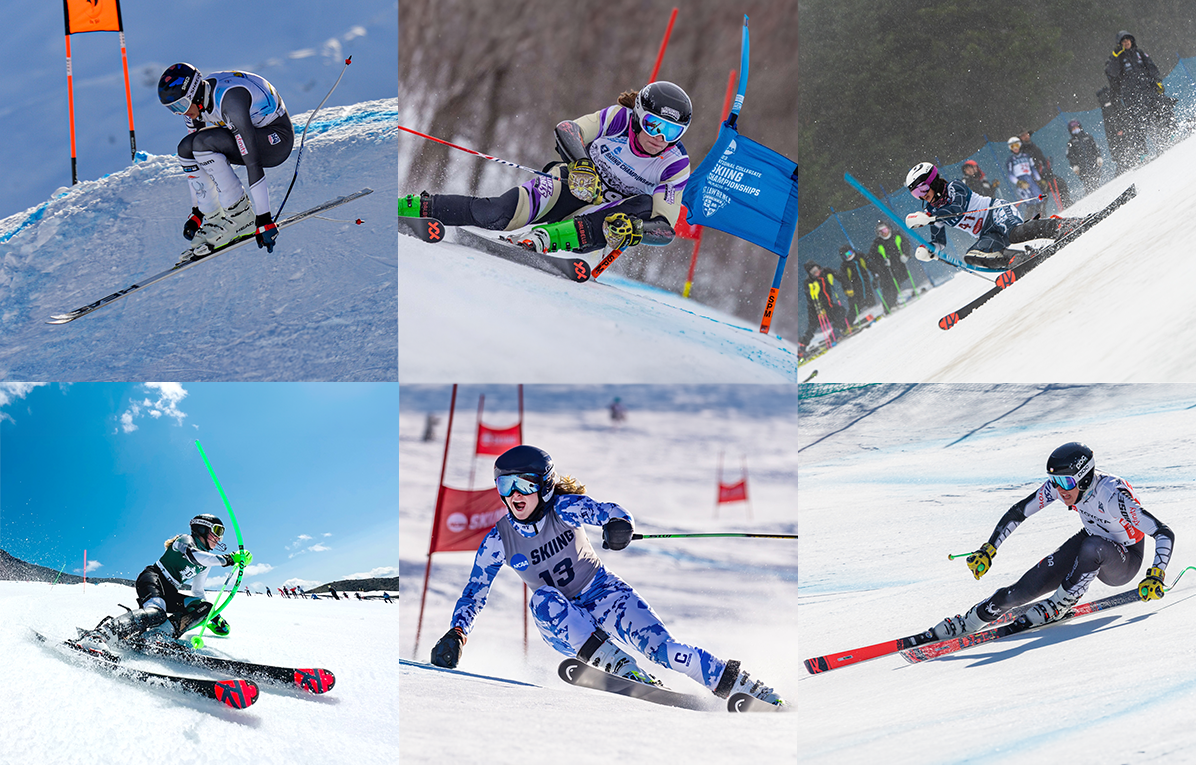 Introducing The New 2023/24 SYNC NCAA Team