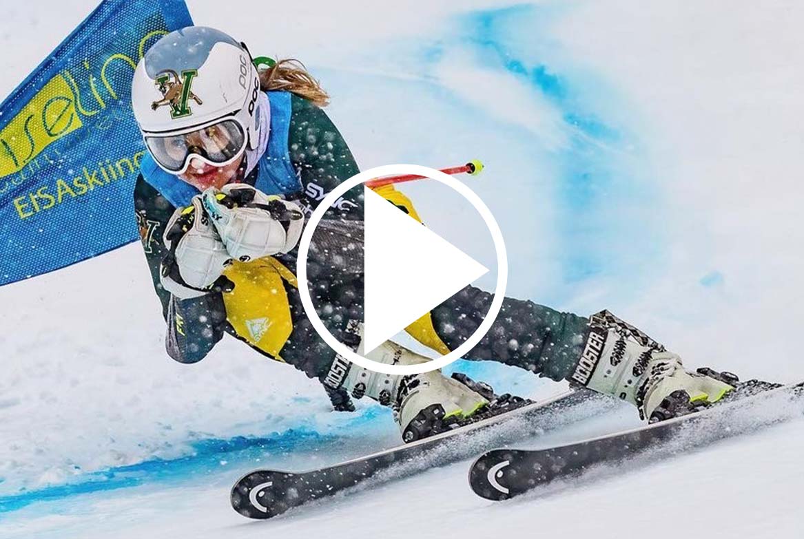 Get To Know Steph Lebby