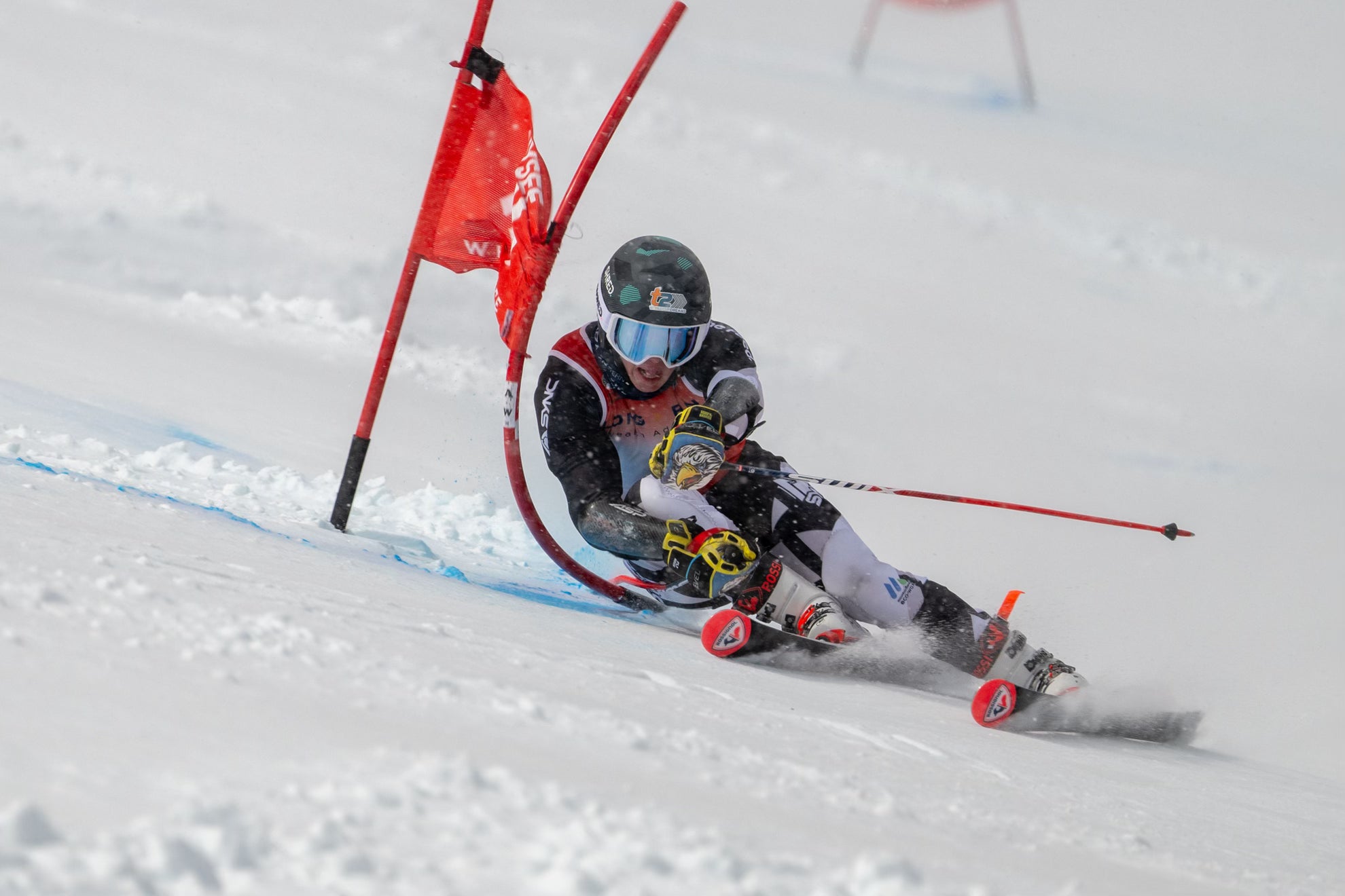 Sync Performance Alpine Racing Meet the 2025/26 SYNC Team – SYNC Performance